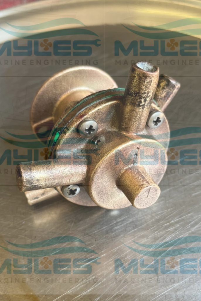 Drofin M12 Sea Water Pump - Myles Marine Engineering