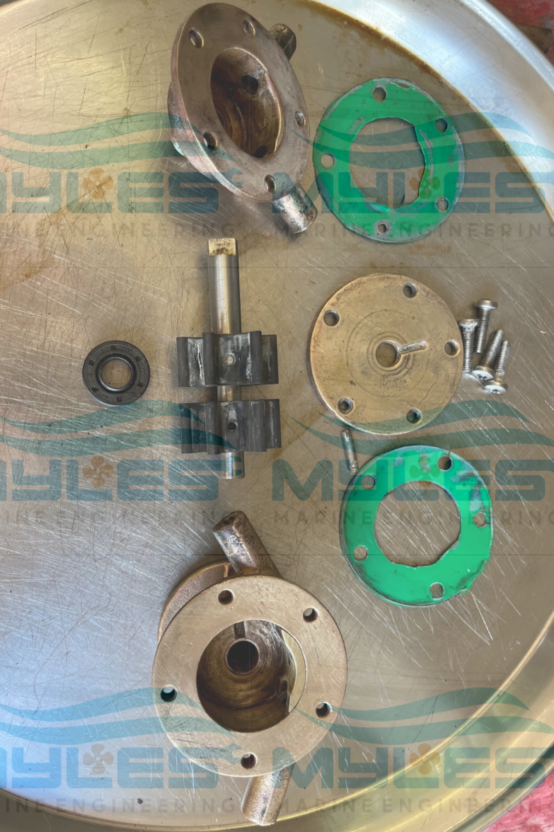 Drofin M12 Sea Water Pump - Myles Marine Engineering