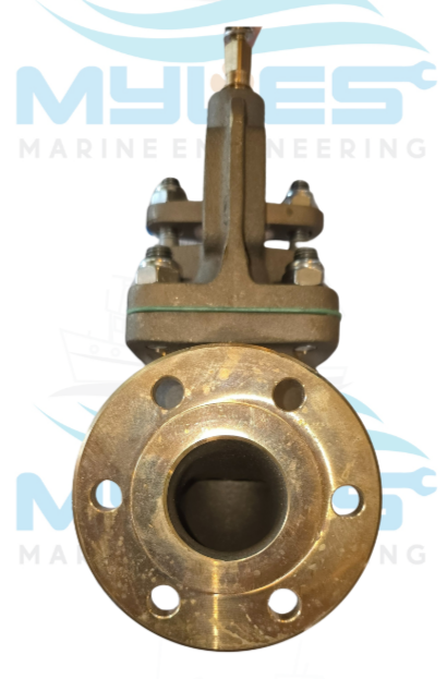 DN40 Bronze Screw Down Non Return Valves