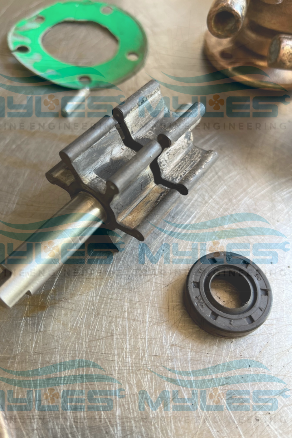 Drofin M12 Sea Water Pump - Myles Marine Engineering