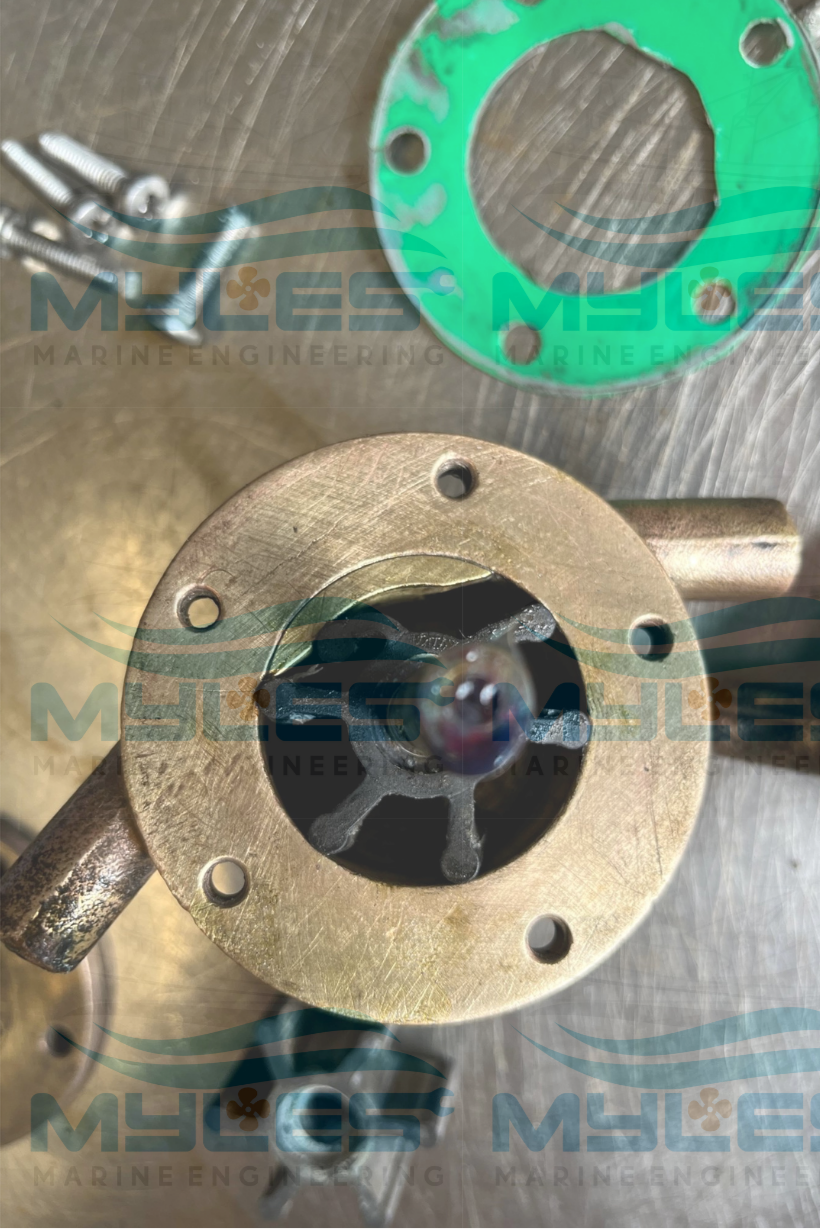 Drofin M12 Sea Water Pump - Myles Marine Engineering