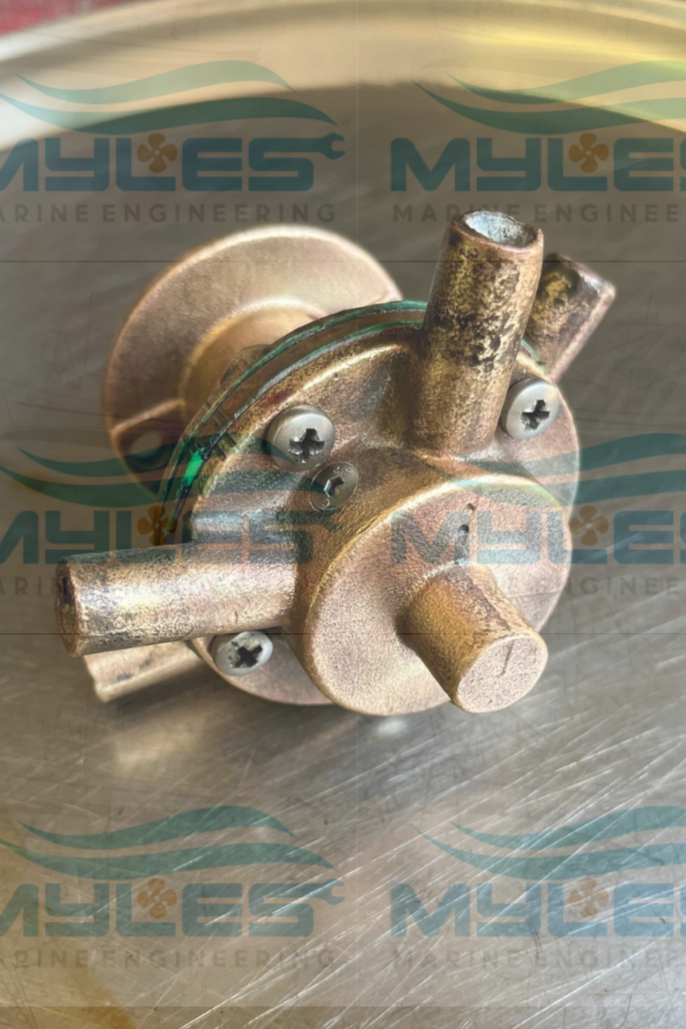 Drofin M12 Sea Water Pump - Myles Marine Engineering 