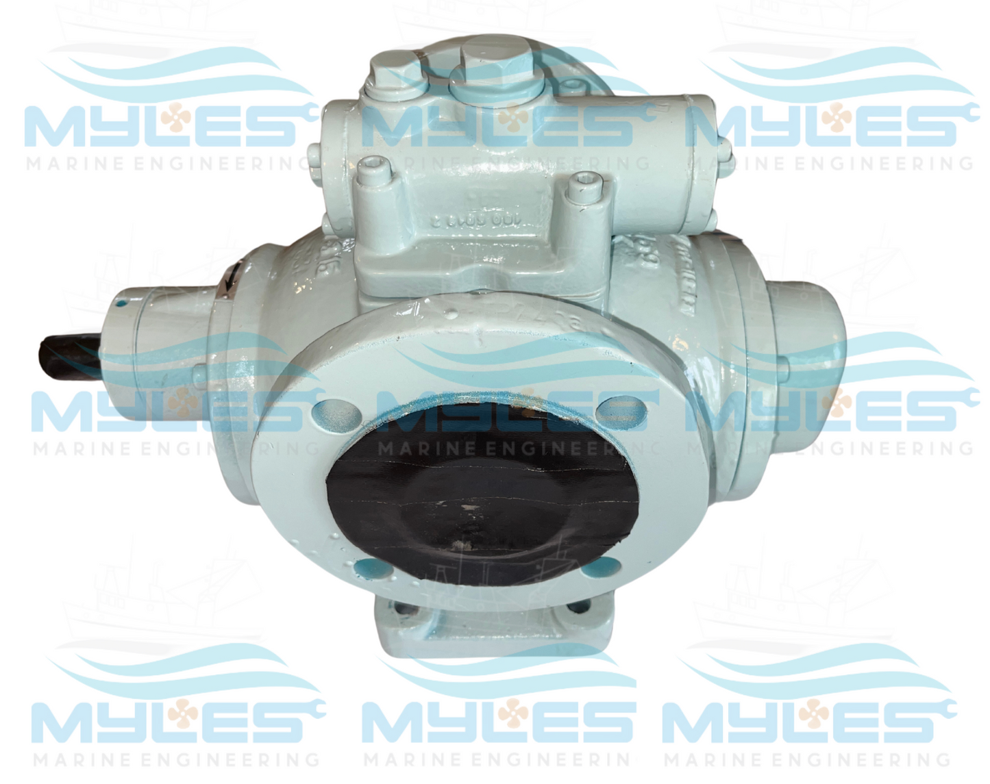 Leistritz Pumps L2NG-048/080 - Myles Marine Engineering 