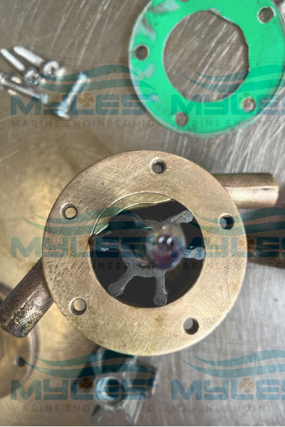 Drofin M12 Sea Water Pump - Myles Marine Engineering 